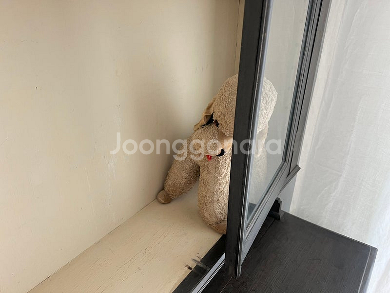 영국 올드앤틱 강아지 인형--3