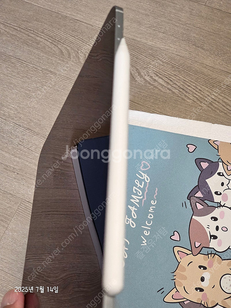 아이패드프로 11 m4 wifi 256gb / Appl...--1