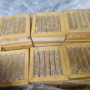 양봉 벌집꿀 팝니다