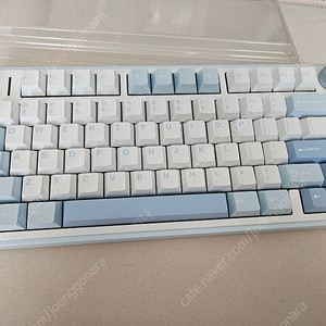 독거미 경해축 f75 (다크블루)