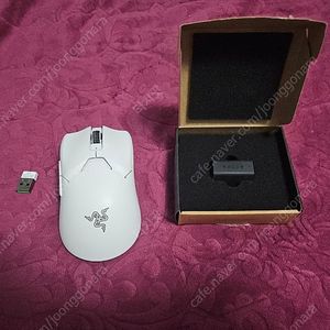 바이퍼 v2 pro +4k동글