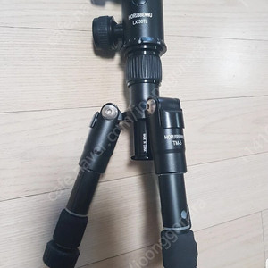 호루스벤누 미니 삼각대 TM5 + 볼헤드 LX-30TL
