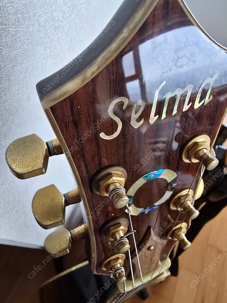 selma 기타 (일산)--1