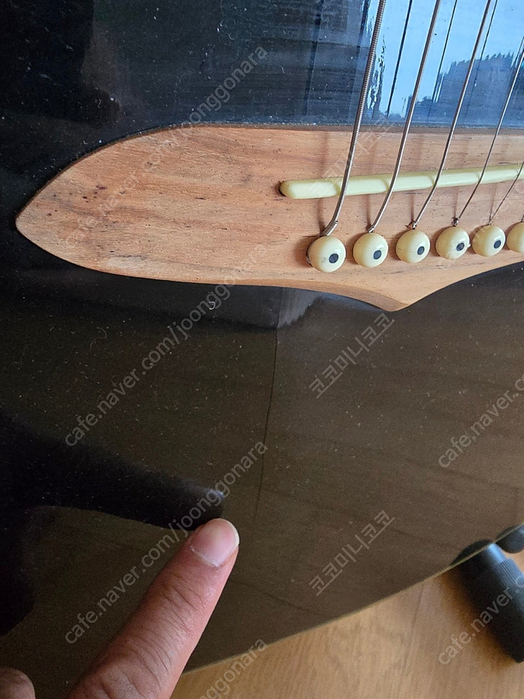 selma 기타 (일산)--3