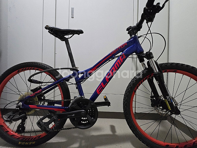 엘파마 벤토르 V24 주니어 MTB ELFAMA VENTOR--0