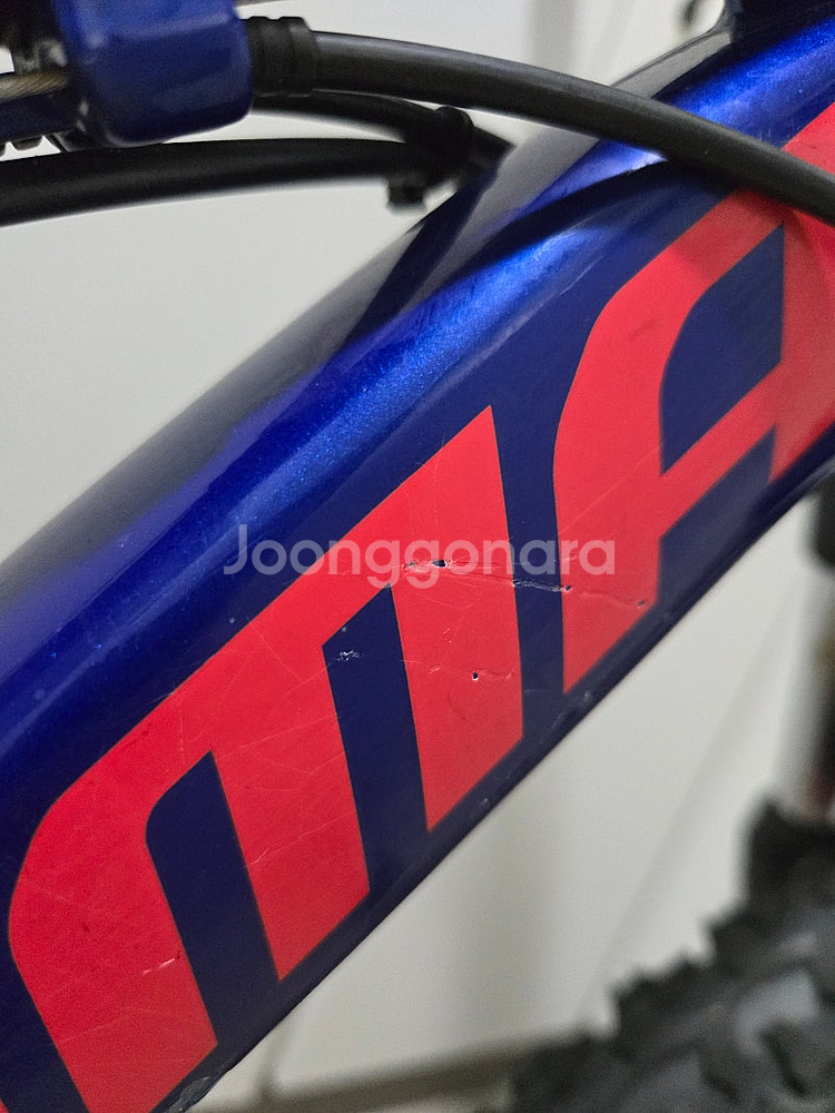 엘파마 벤토르 V24 주니어 MTB ELFAMA VENTOR--3