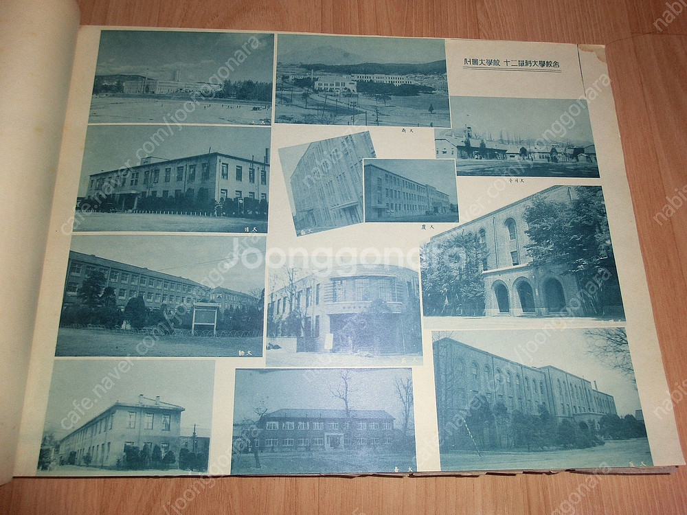 1959년 (4292년)서울대 상과대학 13회 졸업앨범...--6