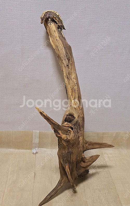 도마뱀 곤충 놀이목 나무은신처--3
