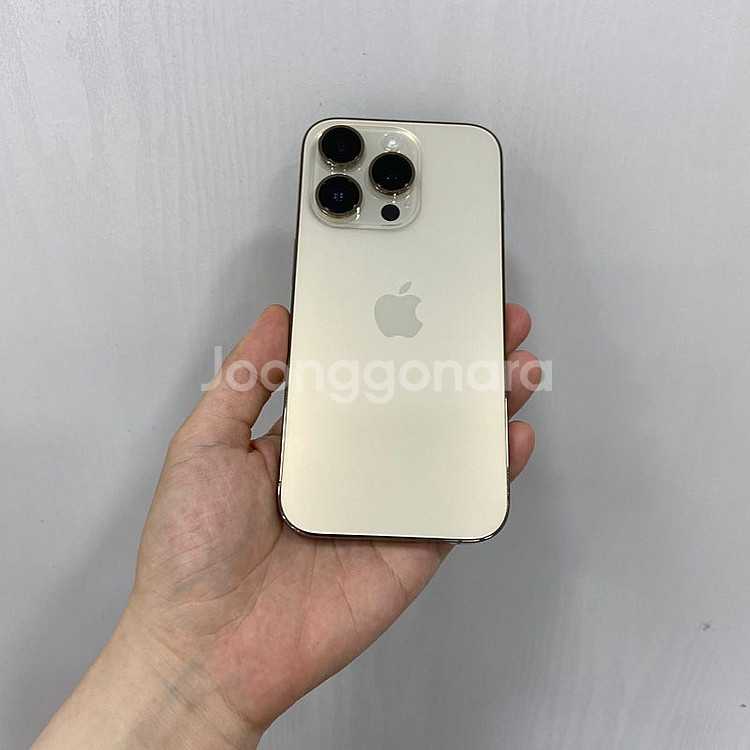 96929 아이폰14프로 128GB 골드 부산 중고폰 ...--2
