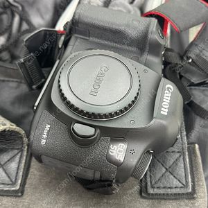캐논 5d mark3 오막삼 + EF 70-200mm F2.8L 엄마백통 조합