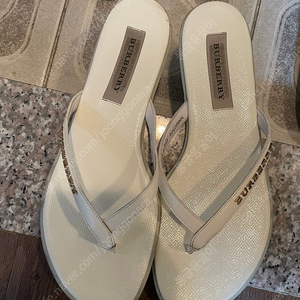 버버리쪼리 37