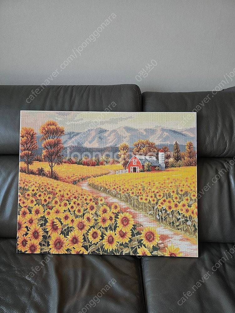 해바라기 사과액자 여러가지있어요 !!!--0