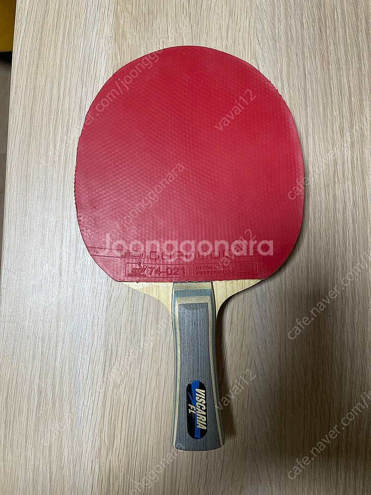 비스카리아 ALC 탁구라켓 초보 입문자 강추--0