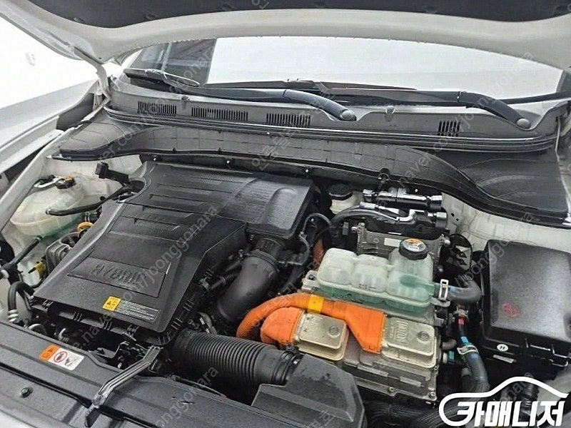 [현대]코나 하이브리드 프리미엄 스페셜 (5인승) ★중고차★중고차매입★전액할부★저신용자★신불자★소액할부★현금★카드 ... 이미지