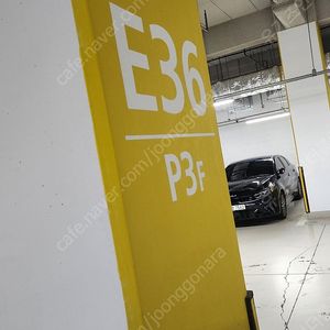 중고나라 피싱 사기꾼 010-8410-6512 조심하세요.