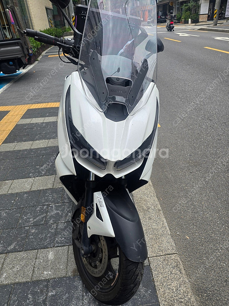 25년식 존테스 350d 화이트 팝니다--3