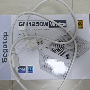 Segotep GM1250W 80PLUS골드 풀모듈러 ATX3.1 화이트 팝니다.