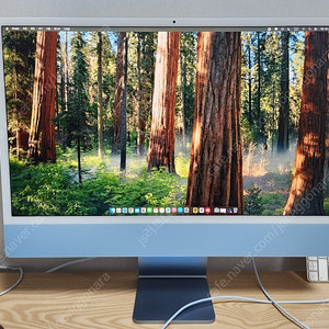 아이맥 m1 16램 1tb 24인치