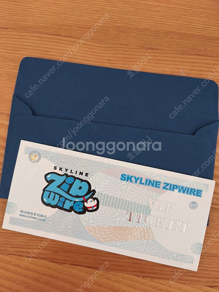 남이섬 스카이라인 짚와이어 2인--0