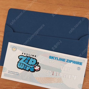 남이섬 스카이라인 짚와이어 2인