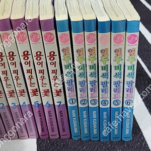 용이 피우는 꽃, 열두 비색 팔레트 택포 3만5천원