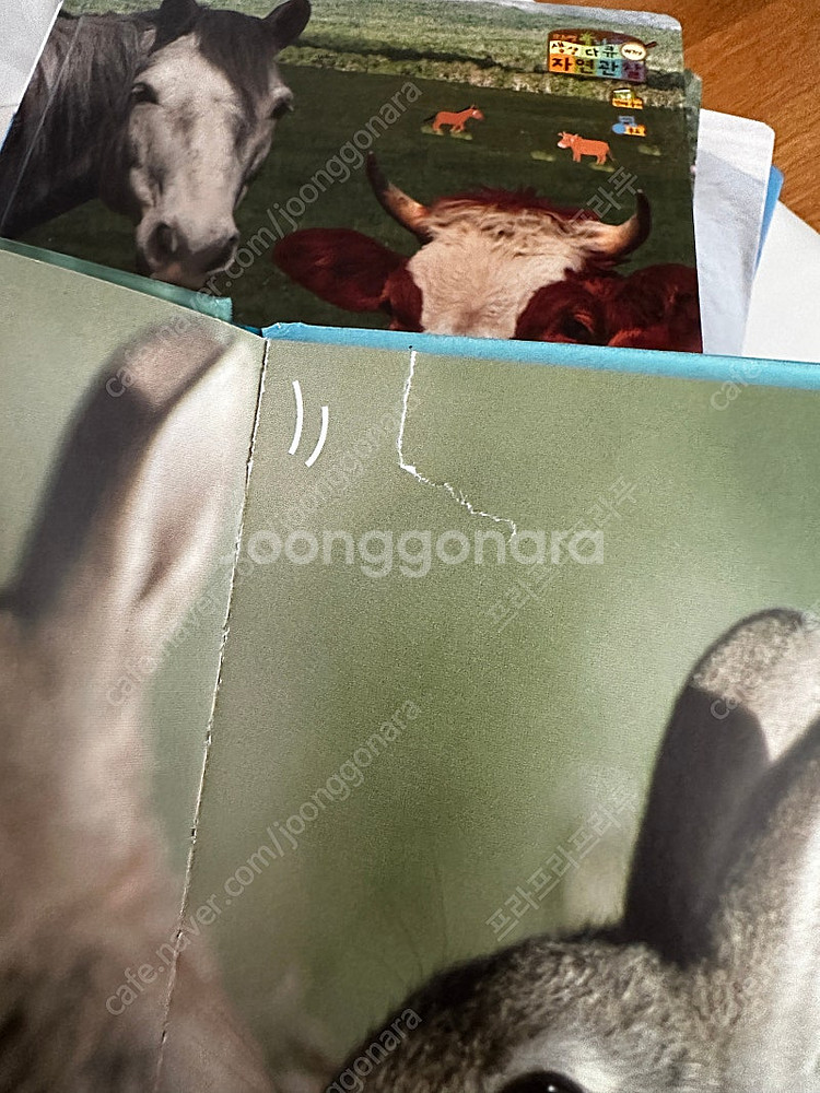 [안전결제/대구] 12만 완전 깨끗 프뢰벨 생생다큐자연...--4