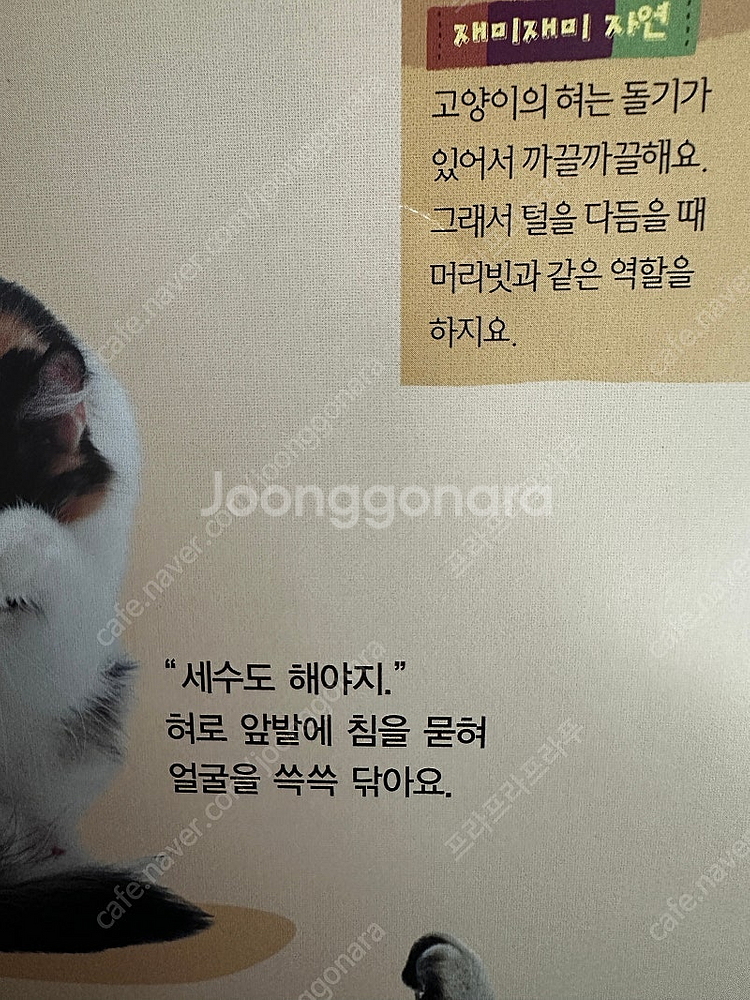 [안전결제/대구] 12만 완전 깨끗 프뢰벨 생생다큐자연...--5