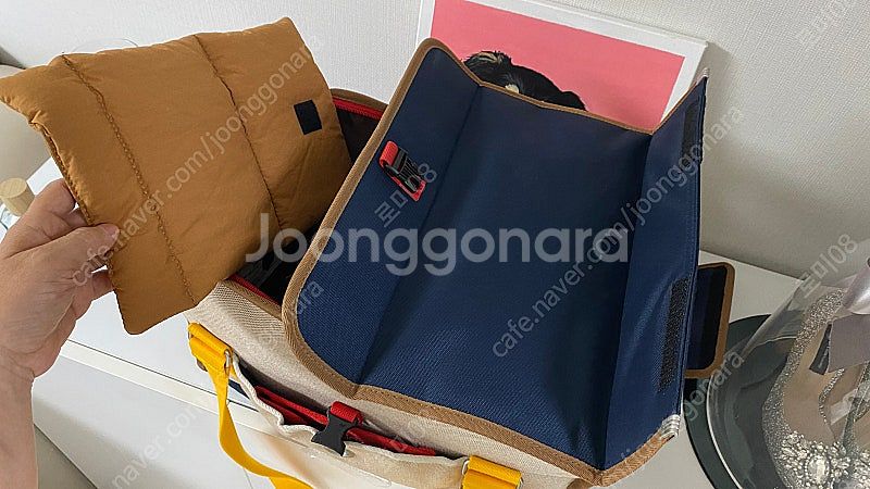 아이캔더 아이백 쎄씨크림 / 강아지 가방 기내용 이동가...--4