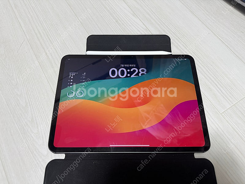 아이패드 프로 m4 11인치 wifi+셀룰러 256 애...--0
