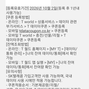 SKT T데이터쿠폰 1GB (선물아님)