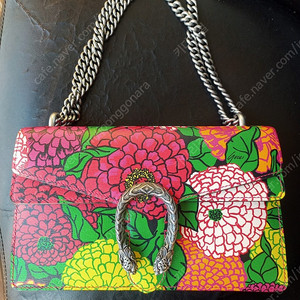 구찌 디오니소스