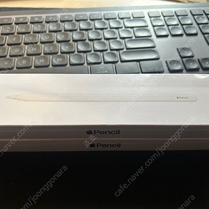 애플펜슬 USB-C 미개봉 새제품