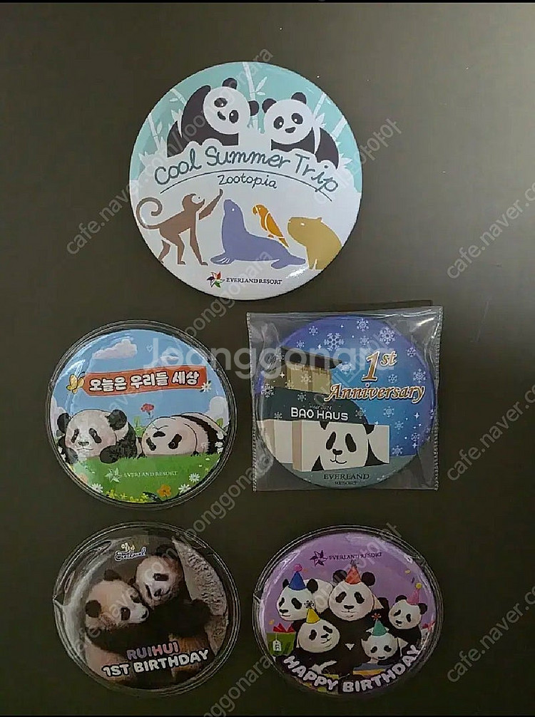 에버랜드 뱃지--0