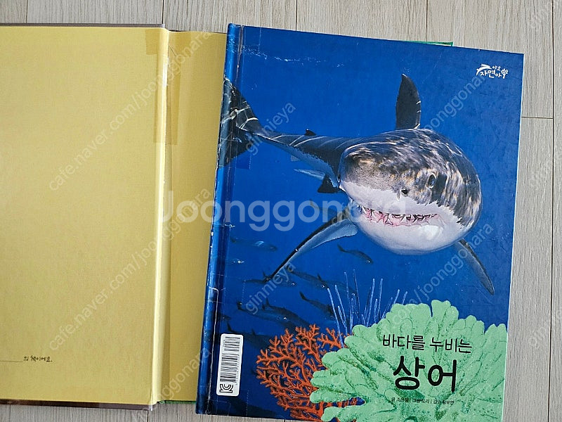 키즈스콜레 야호 자연아 전 구성(세이펜 가능)--4