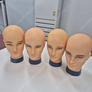 두상마네킹/가발마네킹/모자마네킹 정리합니다.