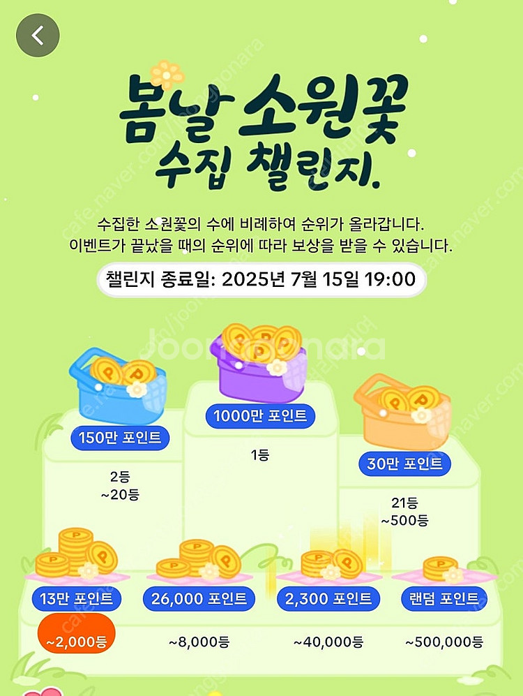 소원꽃 60개 6만원(통판매)--0