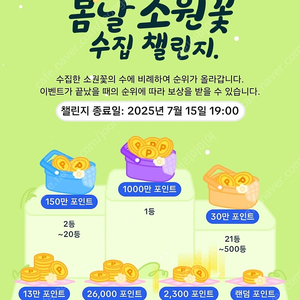 소원꽃 60개 6만원(통판매)