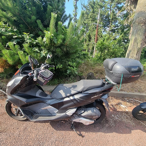 pcx 19년식 7500키로(실키로)