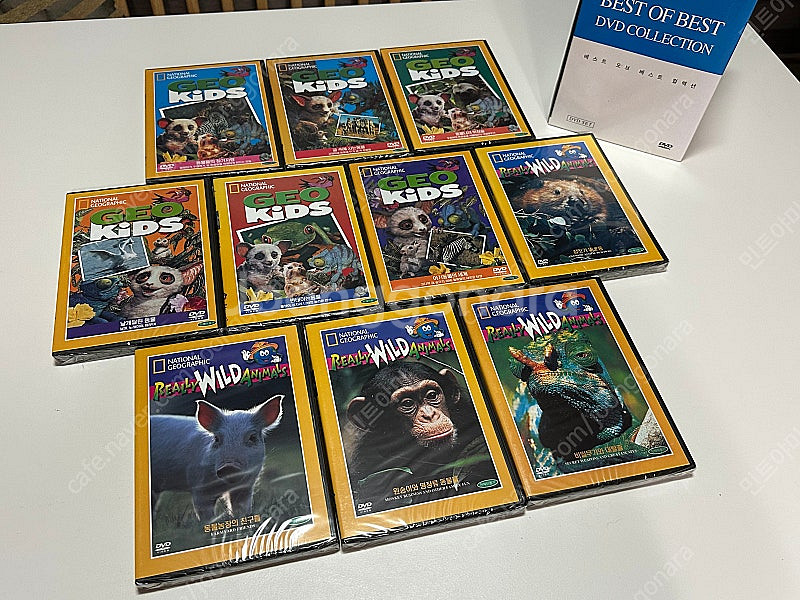 (무배)(논픽션)내셔널지오그래픽 지오 키즈 dvd--3