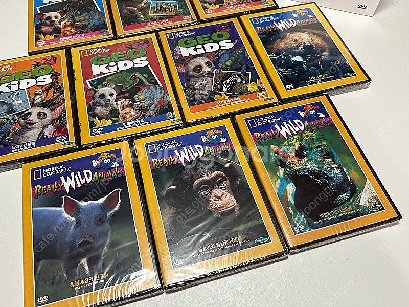 (무배)(논픽션)내셔널지오그래픽 지오 키즈 dvd--5