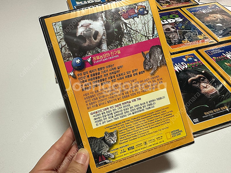 (무배)(논픽션)내셔널지오그래픽 지오 키즈 dvd--6