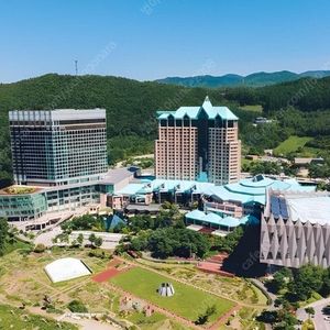 @하이원 숙박 극성수기 가격인하~7월 25 26 27 28 29 30 31 8월 1 2 3 4~8 9~14 15 16~ 하이원 워터월드 워터파크 리조트