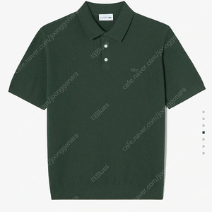 라코스테 25ss pk카라티 그린색 새제품 팔아요 US XL 사이즈(110정도)