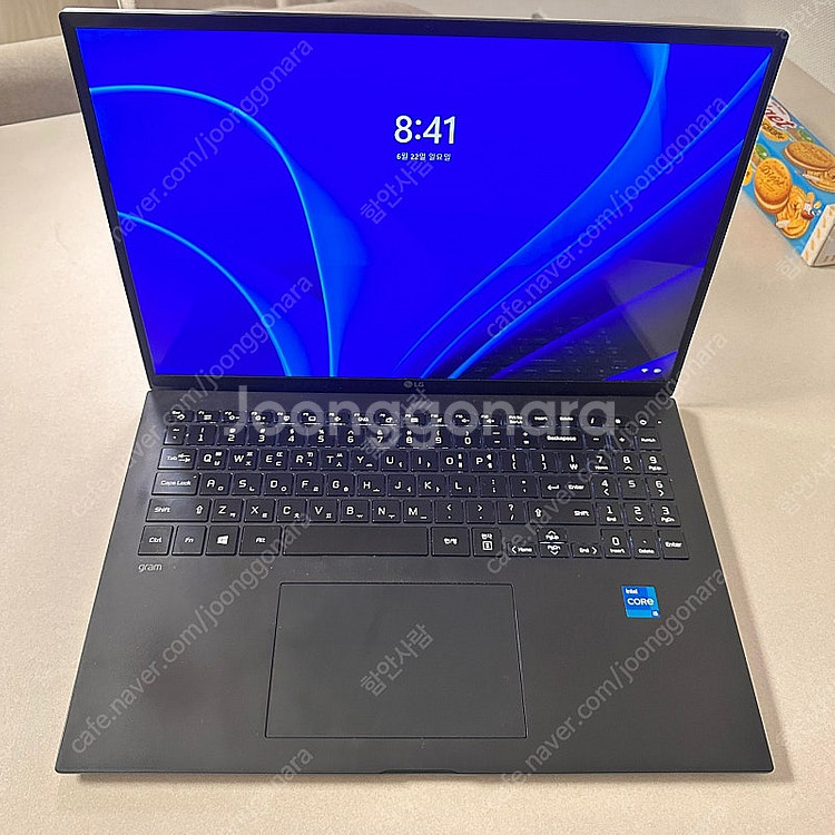 Lg그램 16인치 (16ZD90P-GX5BK) 판매합니...--1