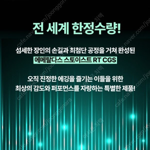 스토이스트 rt cgs 팝니다