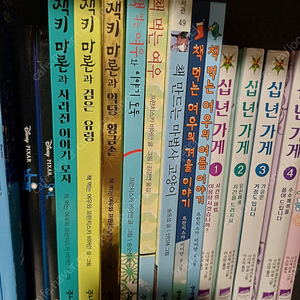 책먹는여우 시리즈 8권