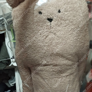 던킨 던킨도너츠​크래프트 홀릭 바디 필로우 곰 크래프홀릭 곰 멀티블랭킷 미개봉 ㅡ안심번호로 문자주세요 챗X 이미지