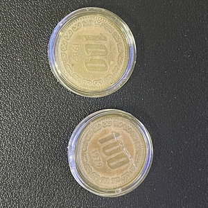 100원 동전