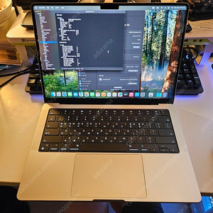 풀박 맥북 프로 m4 pro 24g 512g 14인치 판매