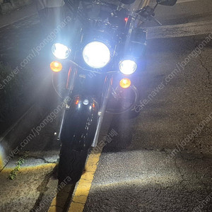 로얄스타1300
